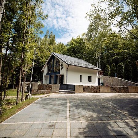 Vila Blanc Valiug Crivaia Exteriér fotografie