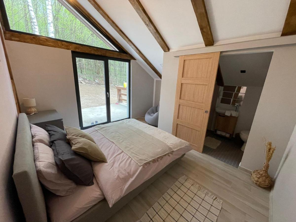 Vila Blanc Valiug Crivaia Exteriér fotografie