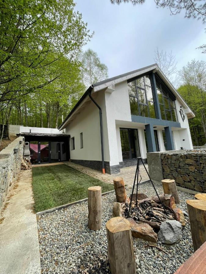 Vila Blanc Valiug Crivaia Exteriér fotografie