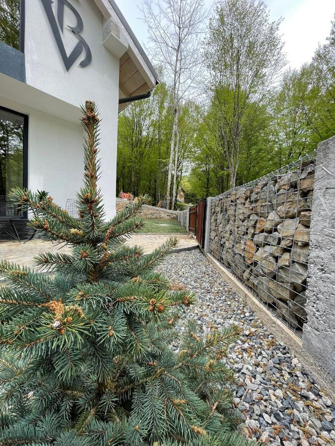 Vila Blanc Valiug Crivaia Exteriér fotografie