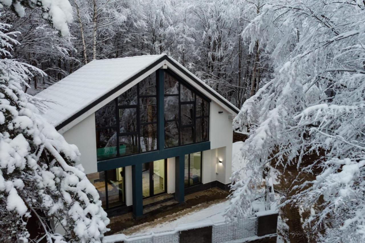 Vila Blanc Valiug Crivaia Exteriér fotografie