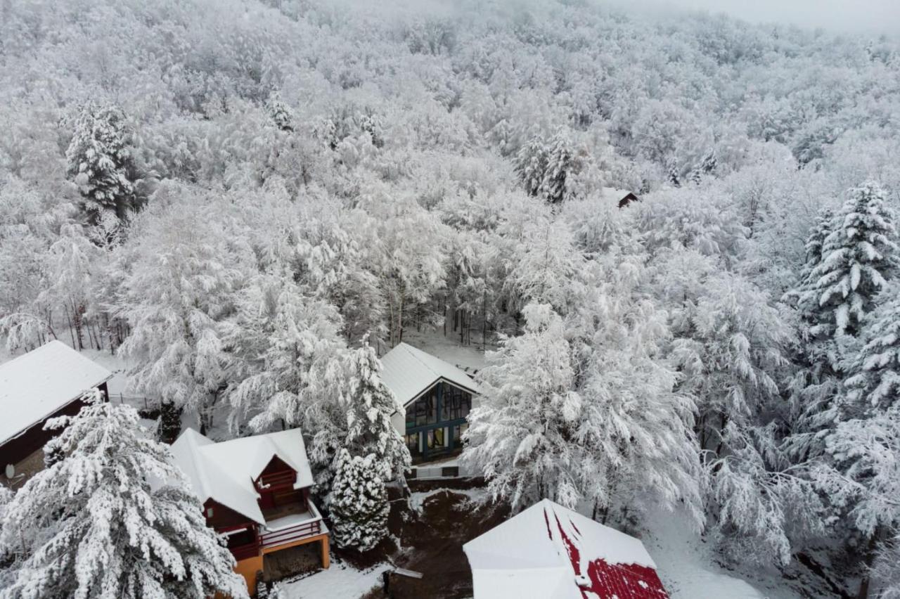 Vila Blanc Valiug Crivaia Exteriér fotografie