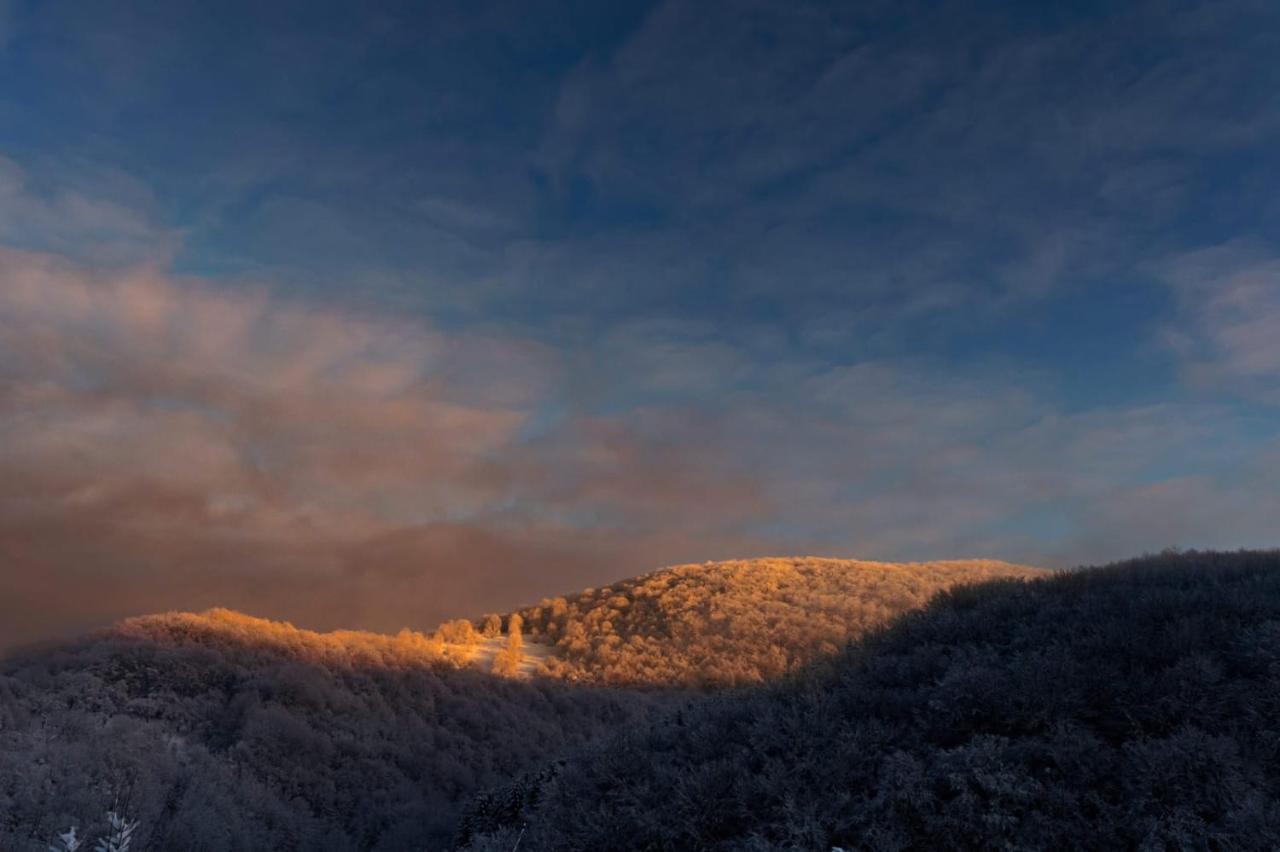 Vila Blanc Valiug Crivaia Exteriér fotografie