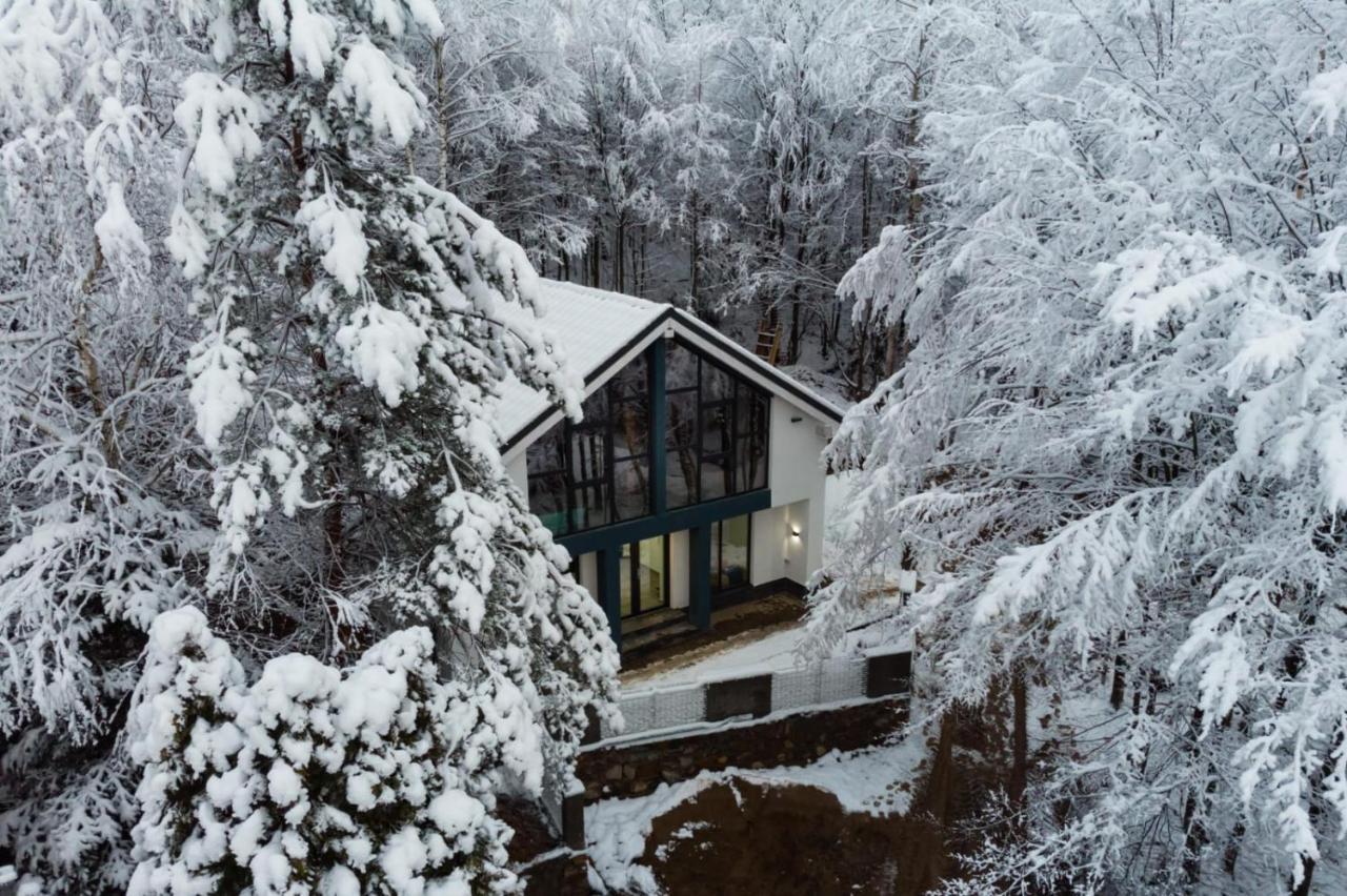 Vila Blanc Valiug Crivaia Exteriér fotografie