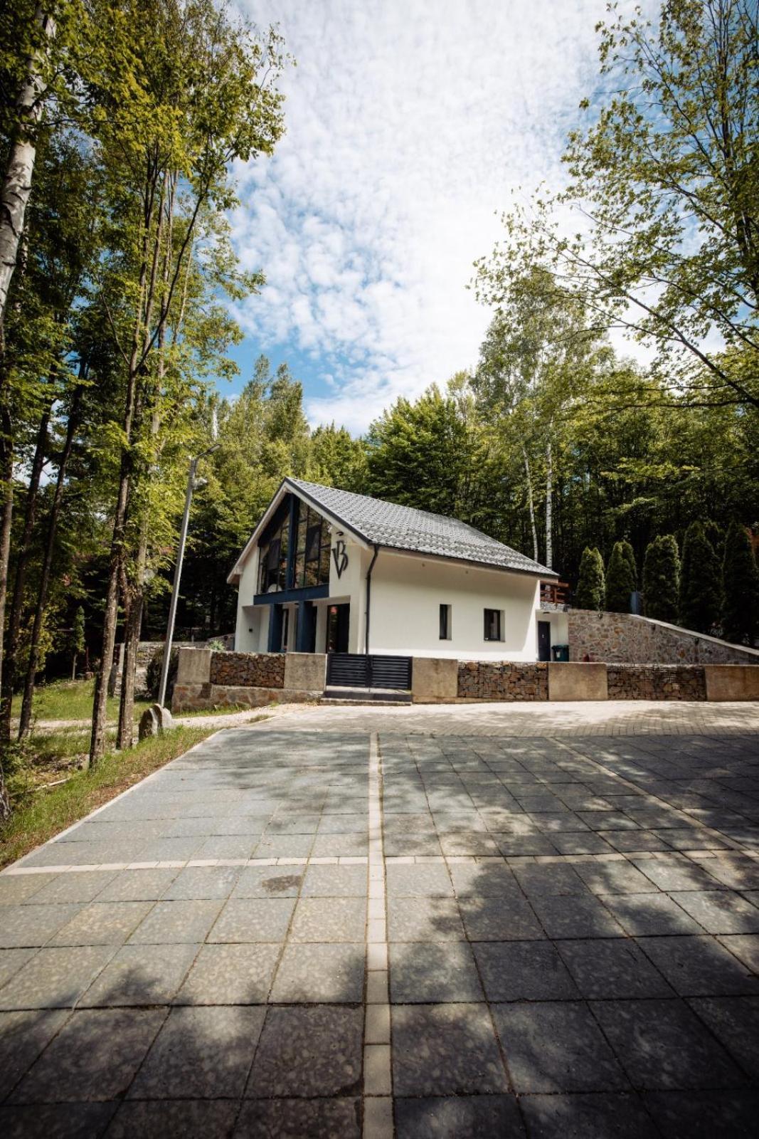 Vila Blanc Valiug Crivaia Exteriér fotografie